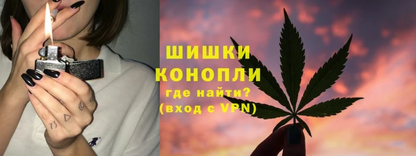 шишки Магадан