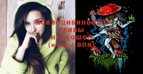 марихуана Абаза