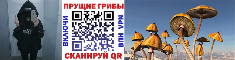 Галлюциногенные грибы ЛСД  Новоаннинский 