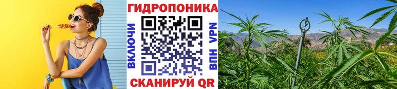 Канабис семена Новоаннинский
