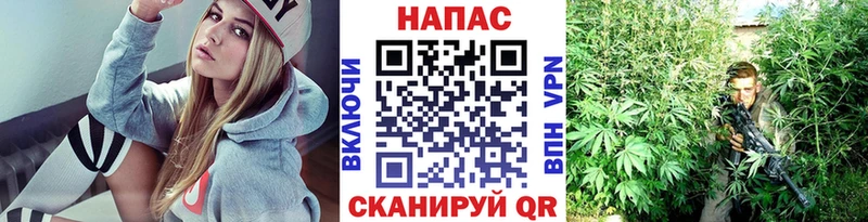 Каннабис план  где можно купить наркотик  ссылка на мегу ТОР  Новоаннинский 